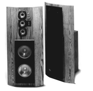 REFERENCE RS 2 (II) - Black - 3-Way w/Dual 10 inch Woofers - Hero